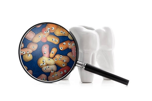 Dental Services